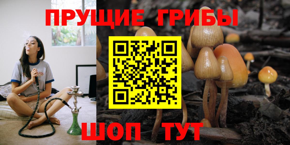 Псилоцибиновые грибы мицелий  Вход с VPN  Галлюциногенные грибы Psilocybe  Дубна 
