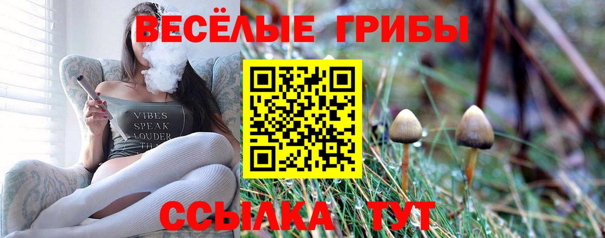Псилоцибиновые грибы GOLDEN TEACHER Дубна